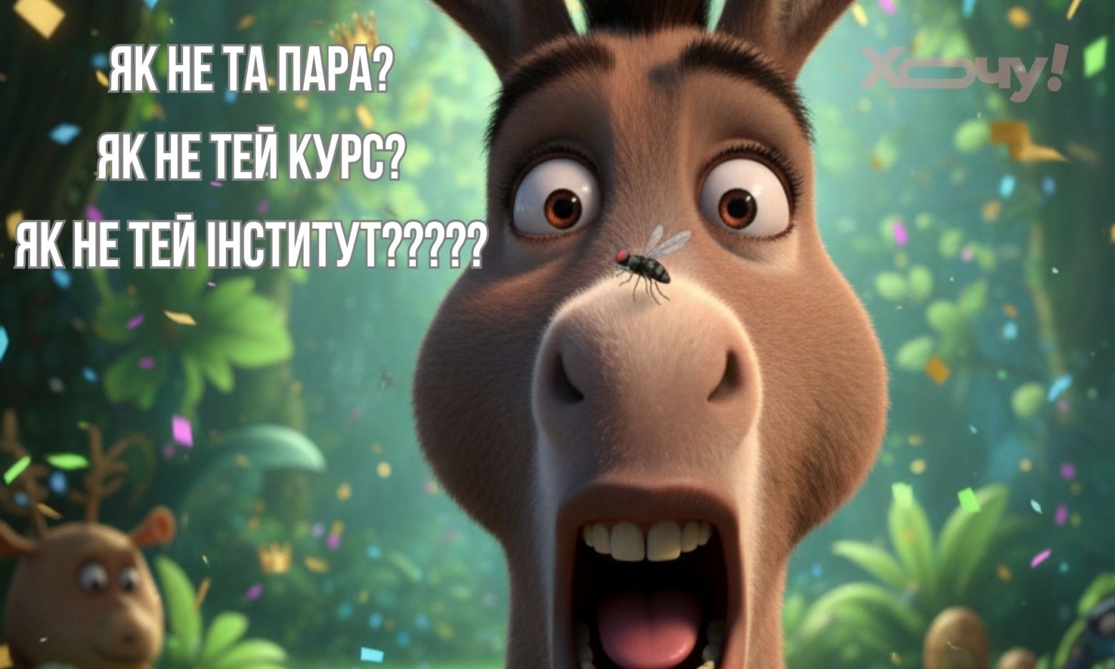 Жарти, меми та приколи з нагоди Дня студента 2025 — українською