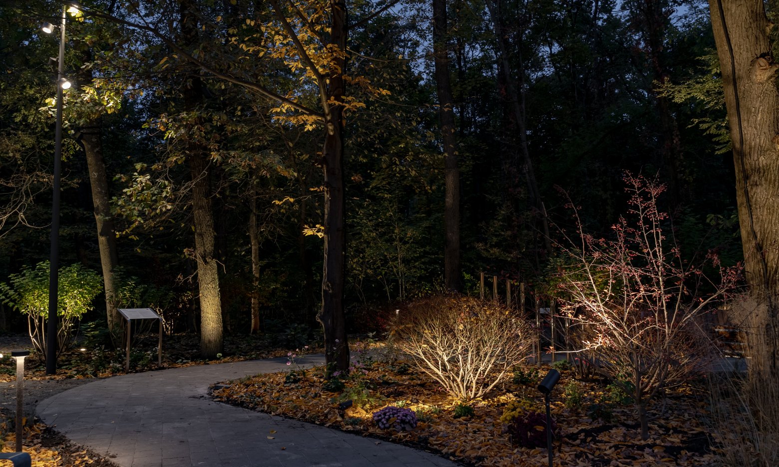 В Україні з’явилося місце, що дарує спокій: як виглядає унікальний Терапевтичний сад на ВДНГ і що там є (ФОТО)