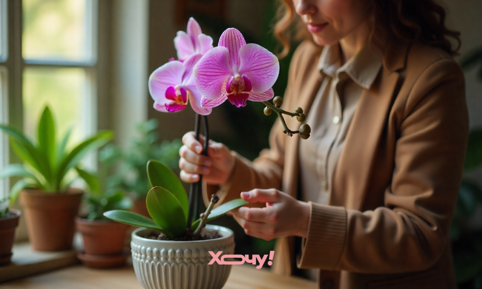 Чому орхідея скидає бутони і квіти: ви самі робите цю помилку