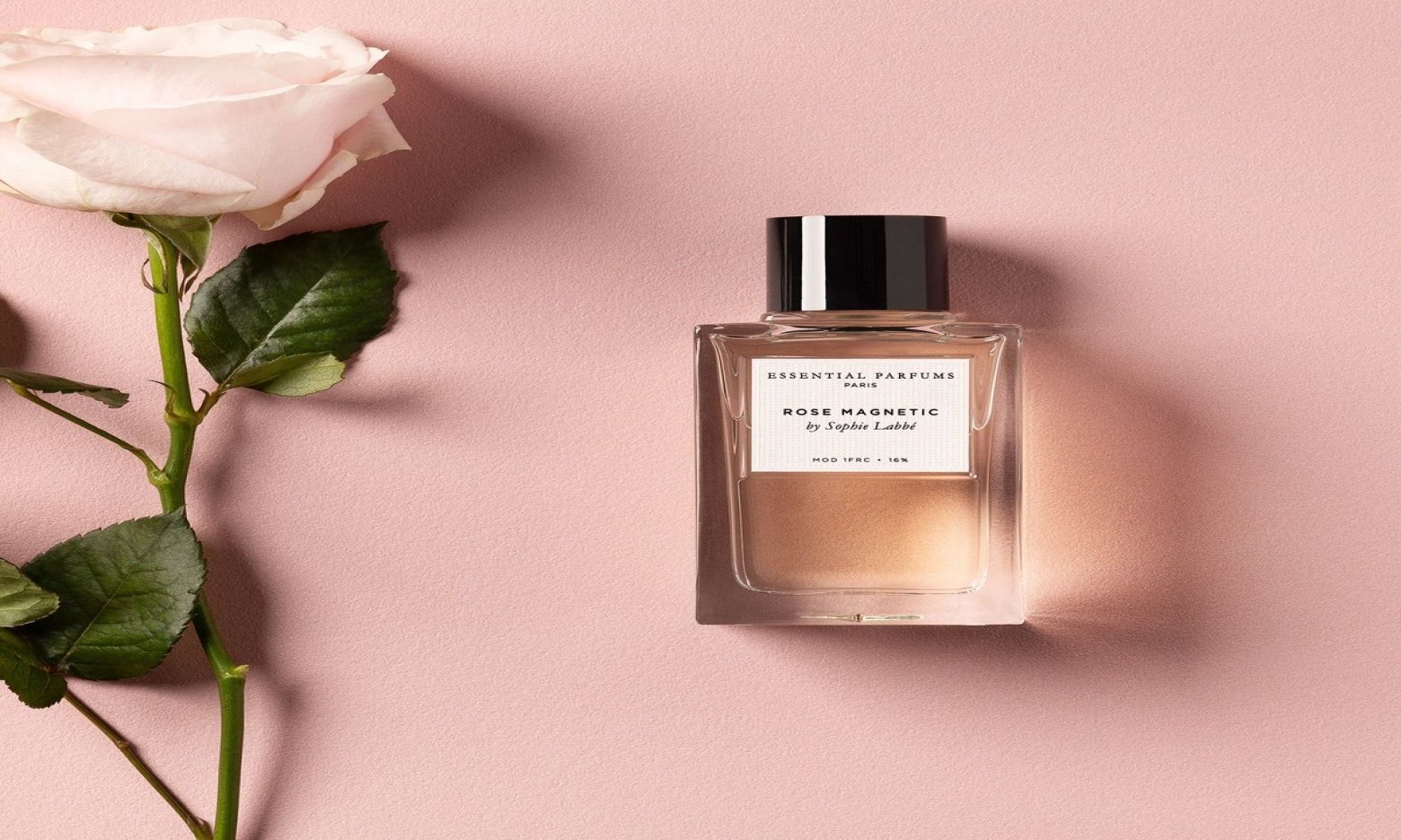 Троянда, яку ви не чекали: 5 ароматів, що перевертають уявлення про найвідомішу квітку в парфумерії