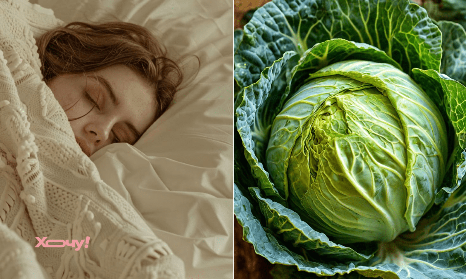 Капуста уві сні: що означає побачене для жінки та чоловіка за сонниками Ванги, Лоффа, Міллера та інших