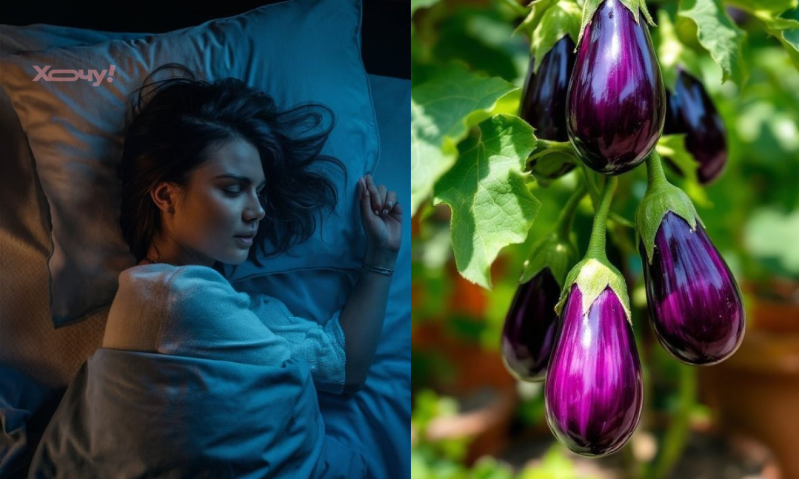 Сон про баклажани: кому пощастить із грошима, а кому варто економити — тлумачення для жінок і чоловіків