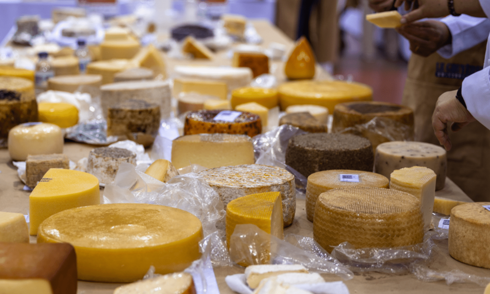 Аж 5 українських сирів нагородили “сирним Оскаром”: які продукти відзначили