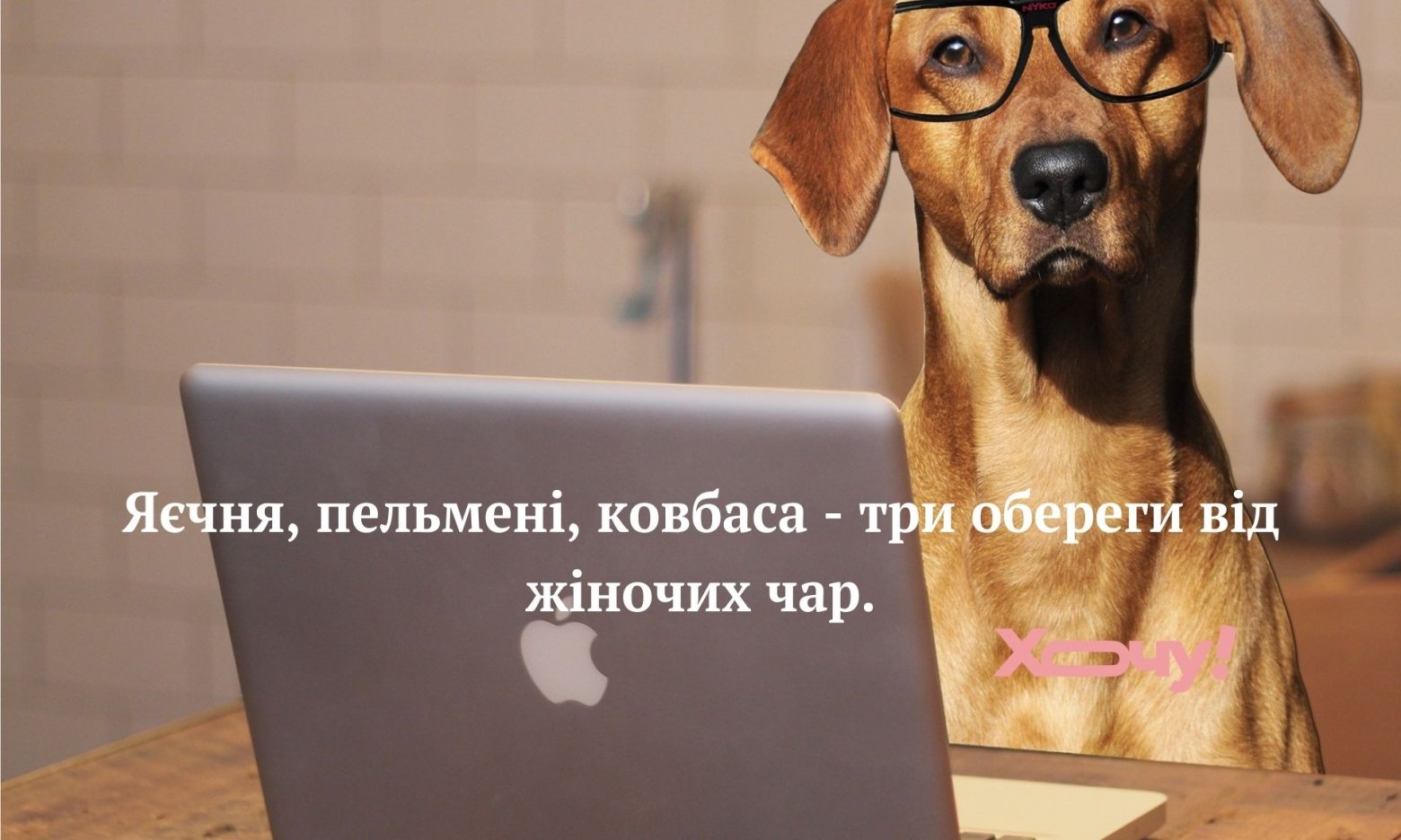 З часом шлунок холостяка набуває форми пачки пельменів: приколи, анекдоти та меми про холостяків