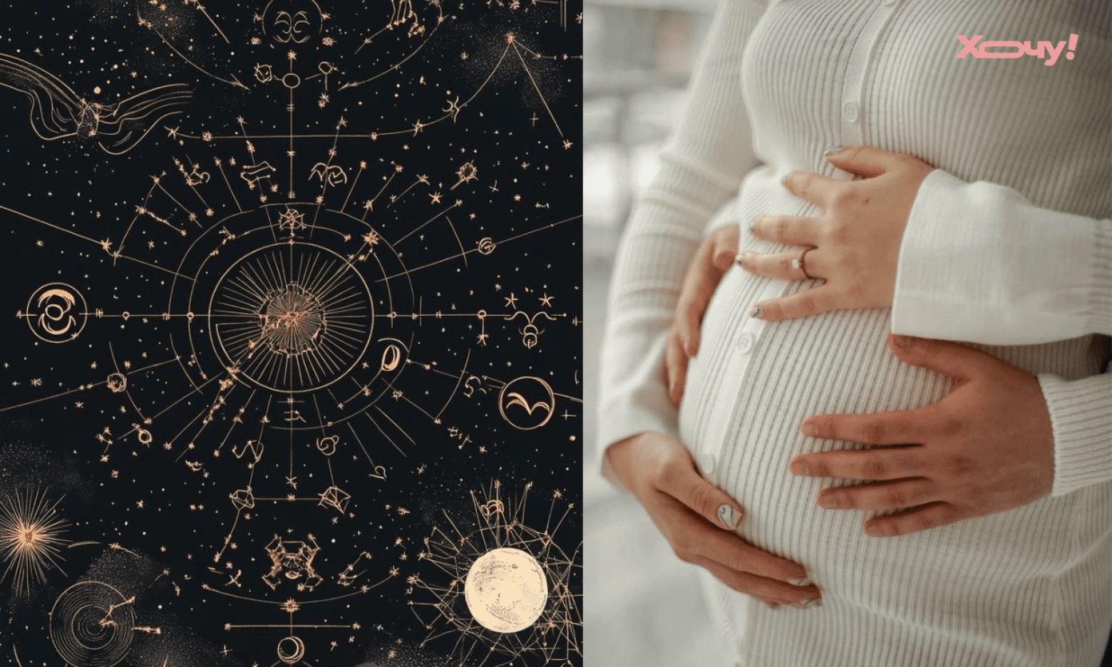 Вони на 1 місці за кількістю — цей знак Зодіаку переплюнув усі інші