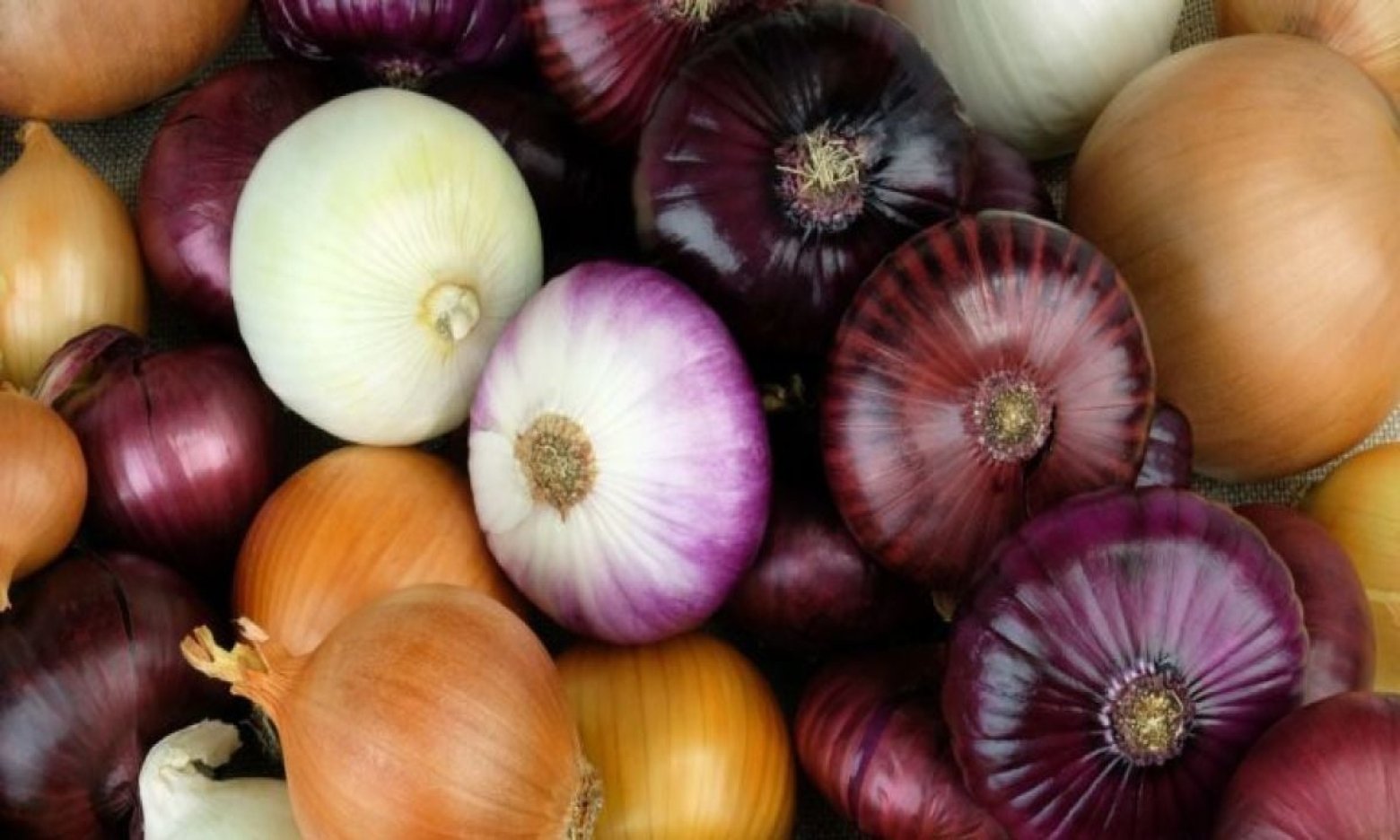 Ніколи не кладіть туди цибулю: вона перетвориться на місиво