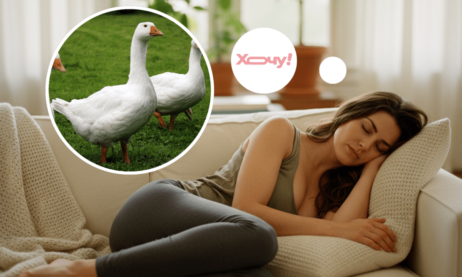 Наснилися гуси: що чекати в реальності після цього сну жінкам і чоловікам — за різними сонниками