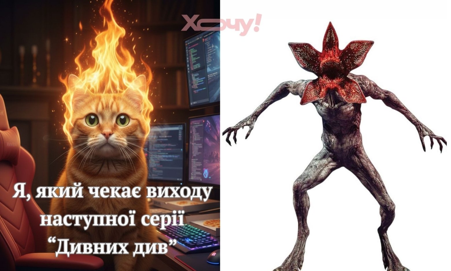 Демоґорґон vs Дімагордон: добірка найсмішніших мемів з культового серіалу «Дивні дива»