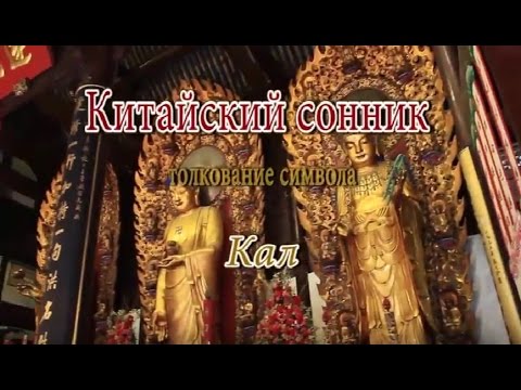 К Чему Снится Кал Женщине: Толкования и Значения сновидения