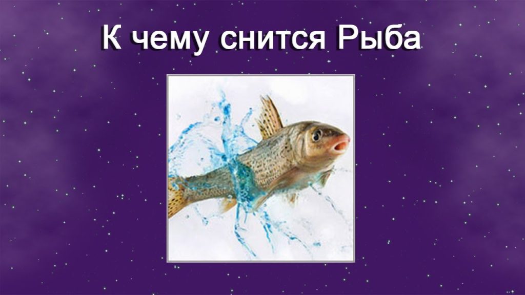 К Чему Снится Рыба: значение сна и толкования по разным источникам