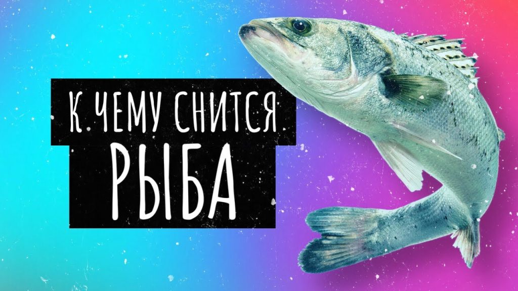 К Чему Снится Рыба: значение сна и толкования по разным источникам