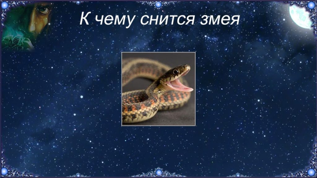 К Чему Снится Змея: Значение и Толкование Сновидения