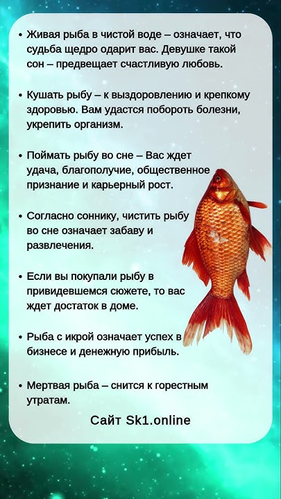 К Чему Снится Рыба: значение сна и толкования по разным источникам