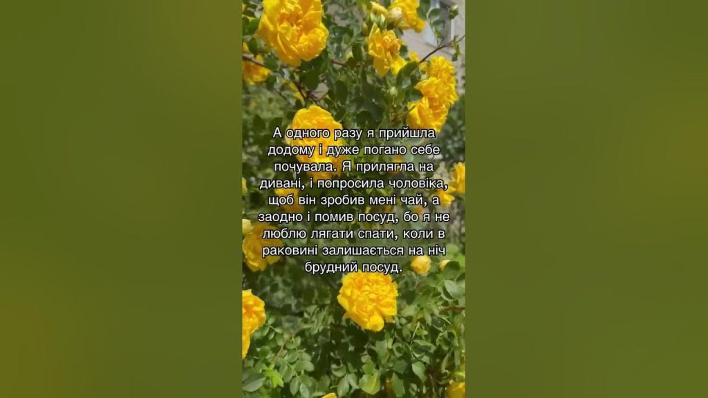 Колишній Чоловік Квіткової: біографія, особисте життя та професійний шлях