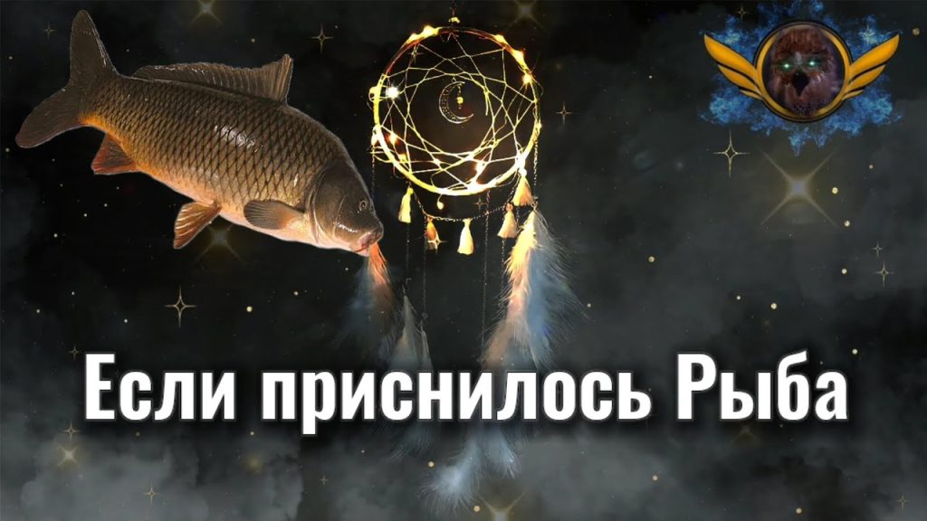 К Чему Снится Рыба: значение сна и толкования по разным источникам