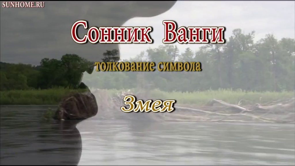 К Чему Снится Змея: Значение и Толкование Сновидения