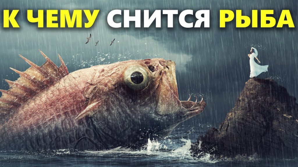 К Чему Снится Рыба: значение сна и толкования по разным источникам